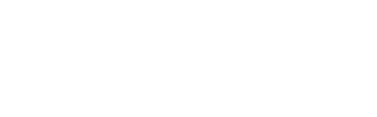 Logo MZM